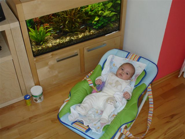  maminka žehlí já se koukám na rybky.JPG