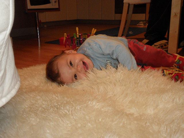 PA170269.JPG