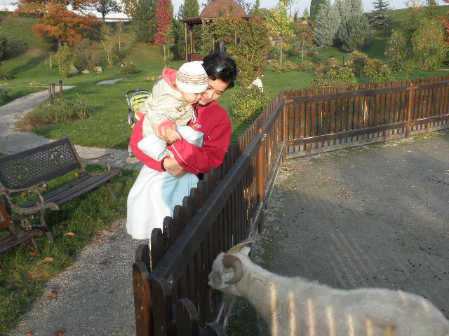 PA250285.JPG