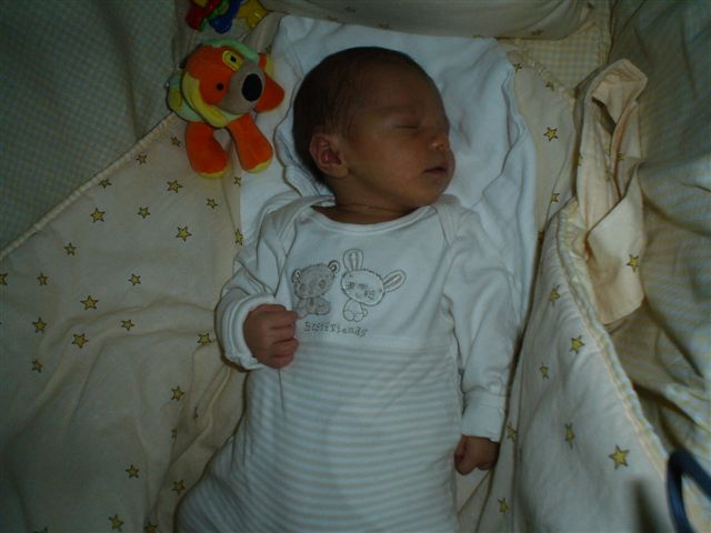 DSC03760.JPG